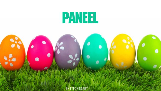 Paneel example