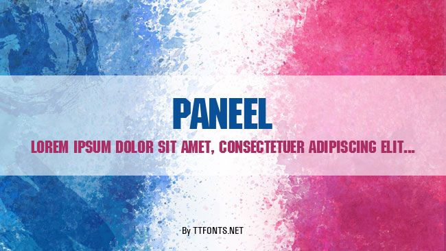 Paneel example