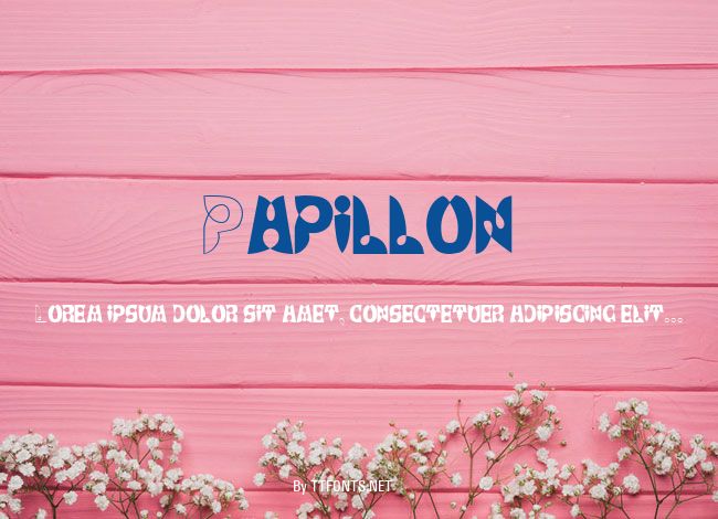 Papillon example