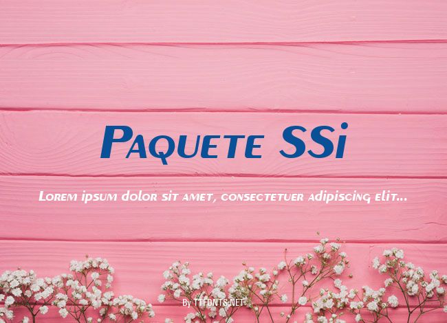 Paquete SSi example