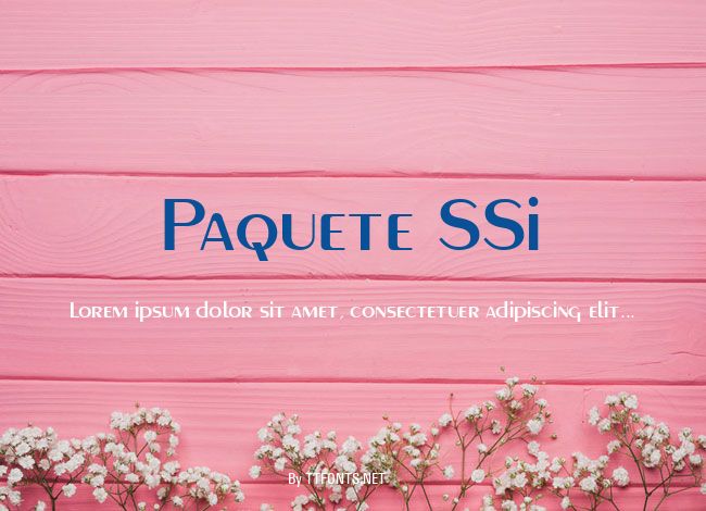 Paquete SSi example