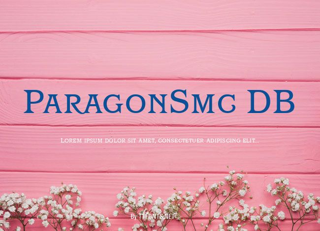 ParagonSmc DB example