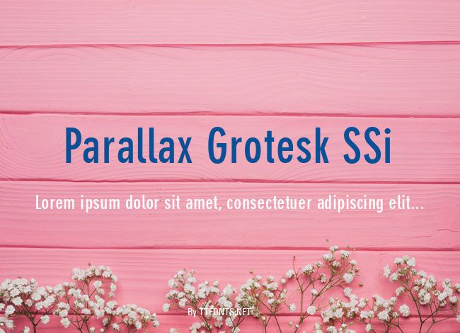 Parallax Grotesk SSi example