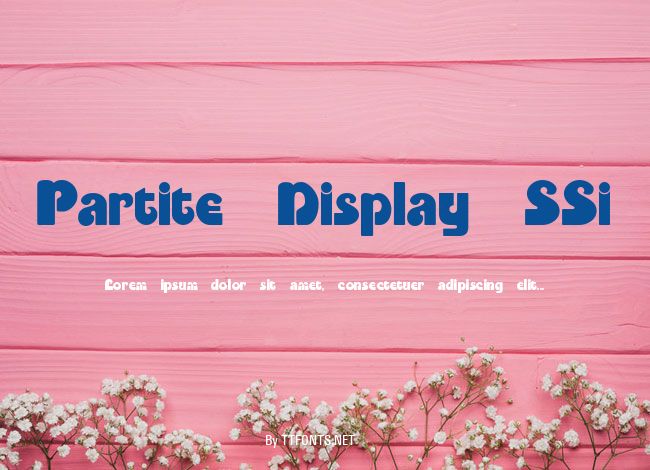 Partite Display SSi example