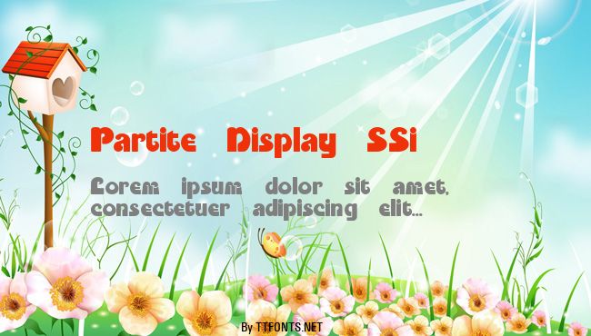 Partite Display SSi example