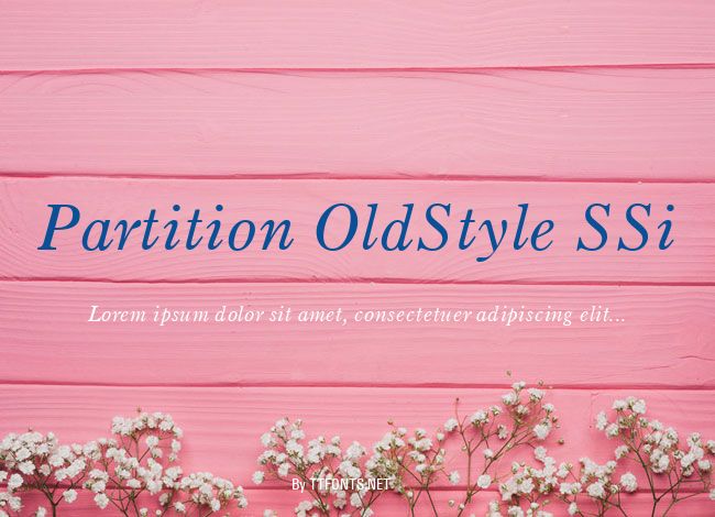 Partition OldStyle SSi example
