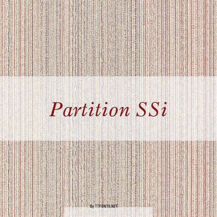 Partition SSi example