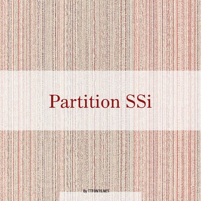 Partition SSi example
