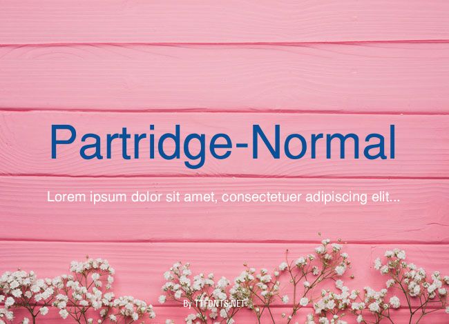 Partridge-Normal example