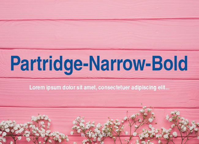 Partridge-Narrow-Bold example