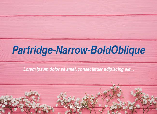 Partridge-Narrow-BoldOblique example