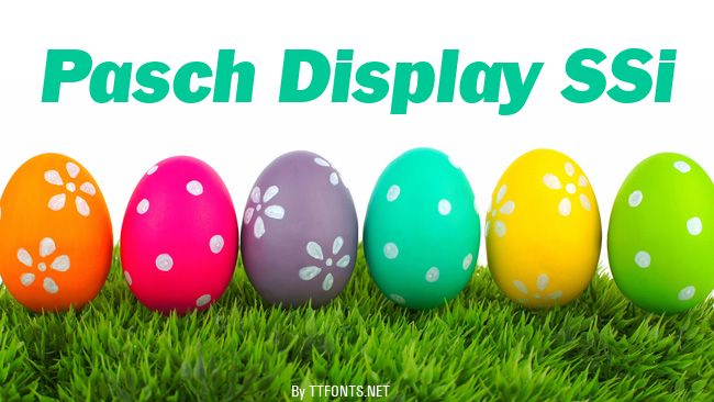 Pasch Display SSi example