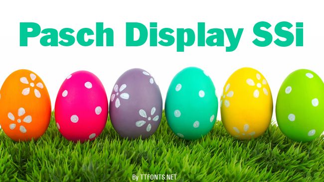 Pasch Display SSi example