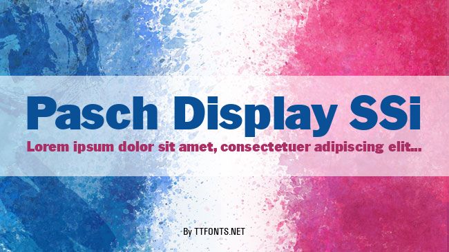 Pasch Display SSi example