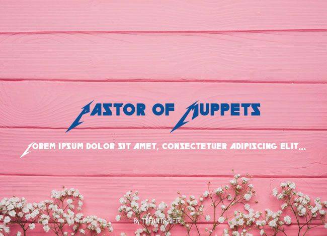 Pastor of Muppets example