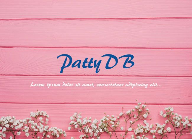 PattyDB example
