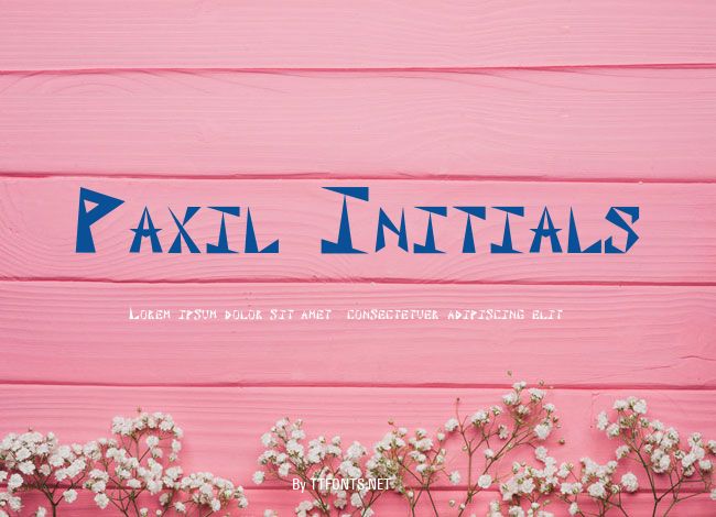 Paxil Initials example