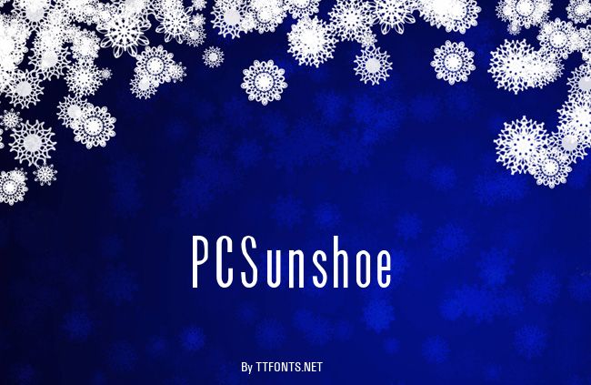 PCSunshoe example