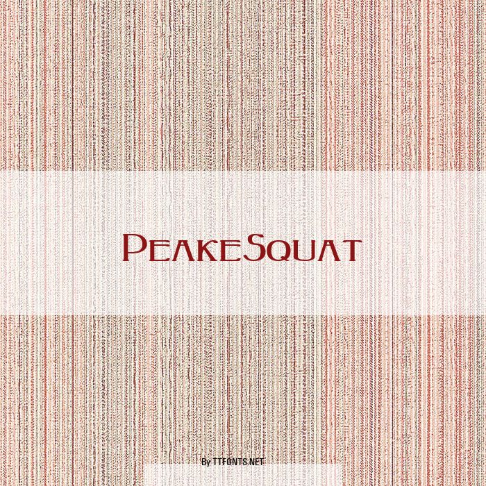 PeakeSquat example