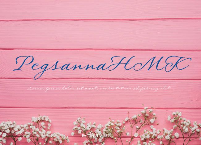 PegsannaHMK example