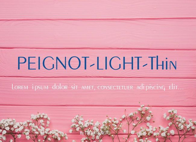 PEIGNOT-LIGHT-Thin example