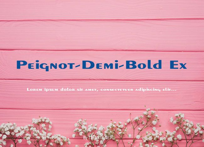 Peignot-Demi-Bold Ex example
