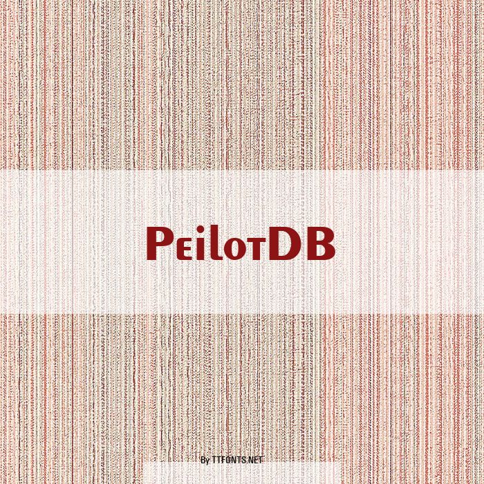 PeilotDB example