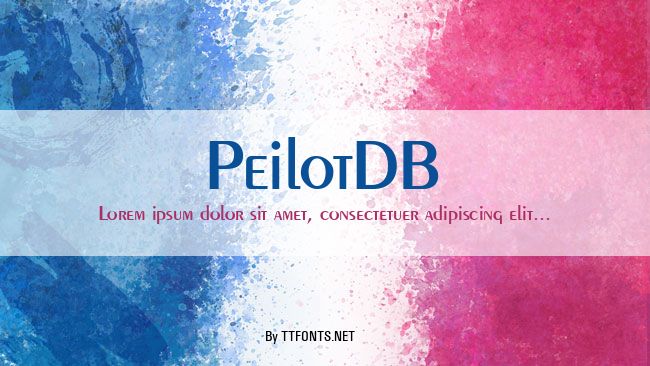 PeilotDB example