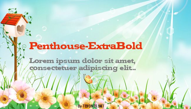 Penthouse-ExtraBold example