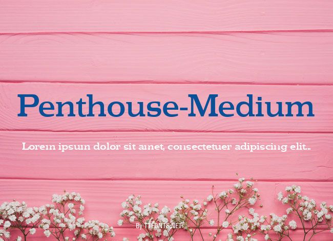 Penthouse-Medium example