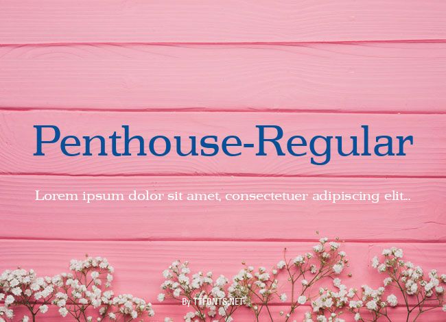 Penthouse-Regular example