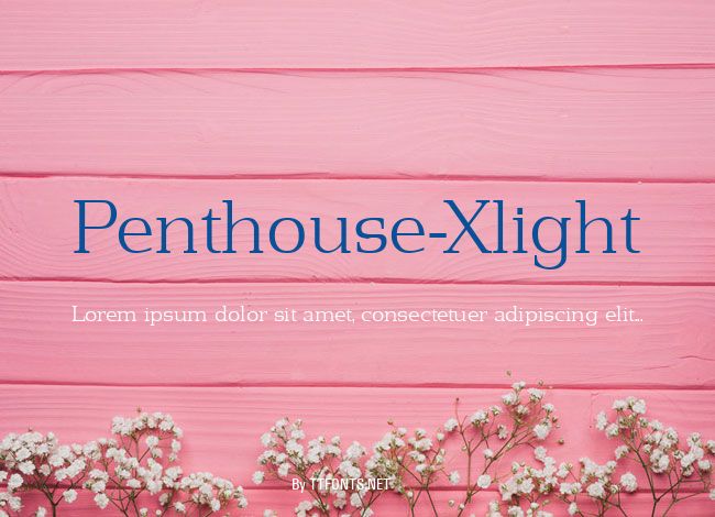 Penthouse-Xlight example