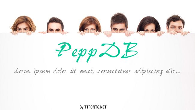 PeppDB example