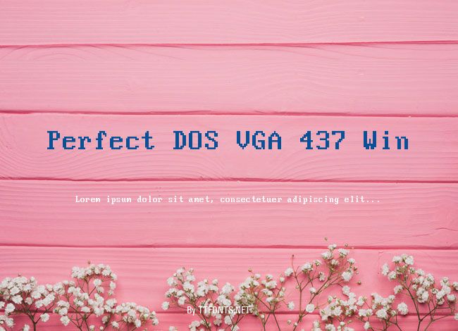 Perfect DOS VGA 437 Win example