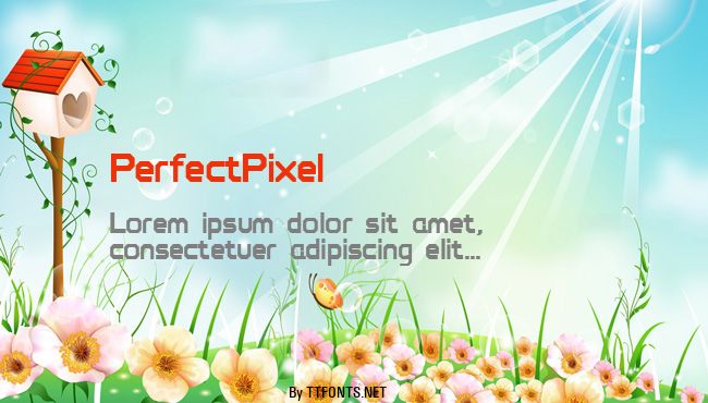 PerfectPixel example