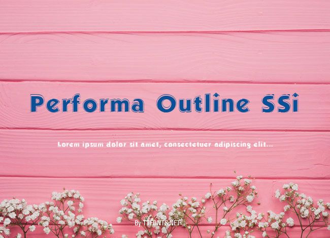 Performa Outline SSi example