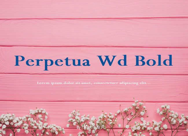 Perpetua Wd Bold example