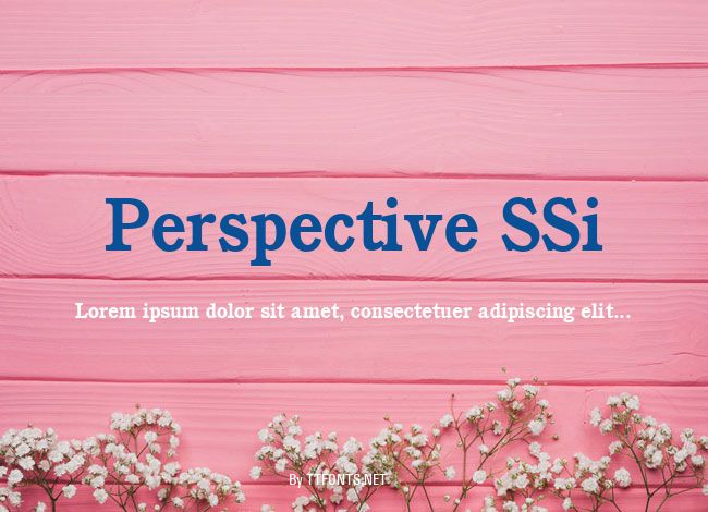 Perspective SSi example