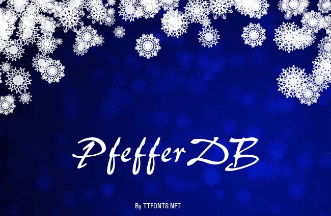 PfefferDB example
