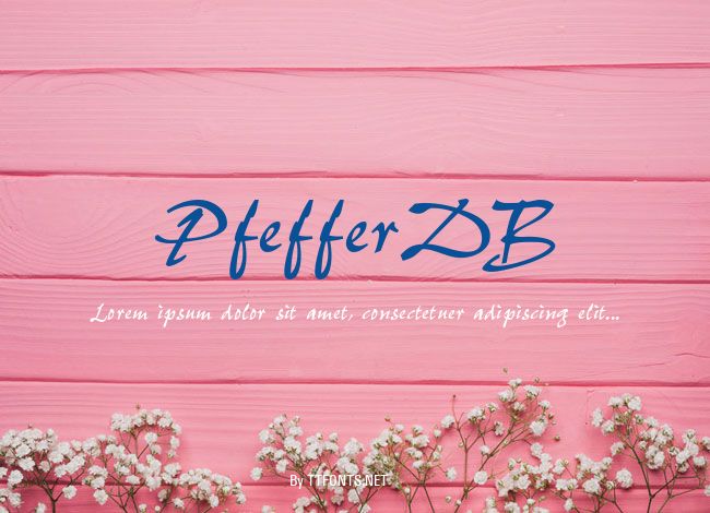 PfefferDB example