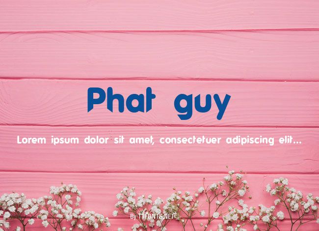 Phat guy example