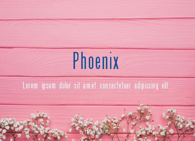 Phoenix example