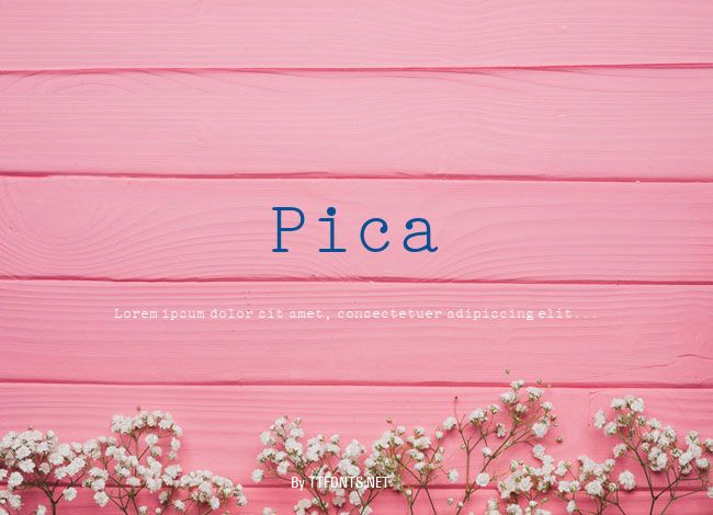 Pica example