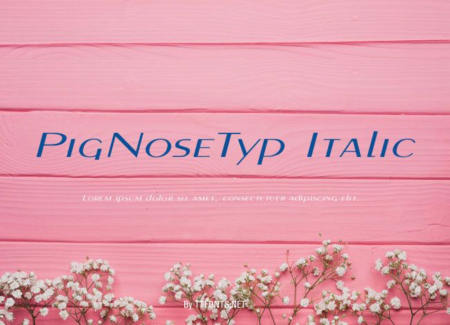 PigNoseTyp Italic example
