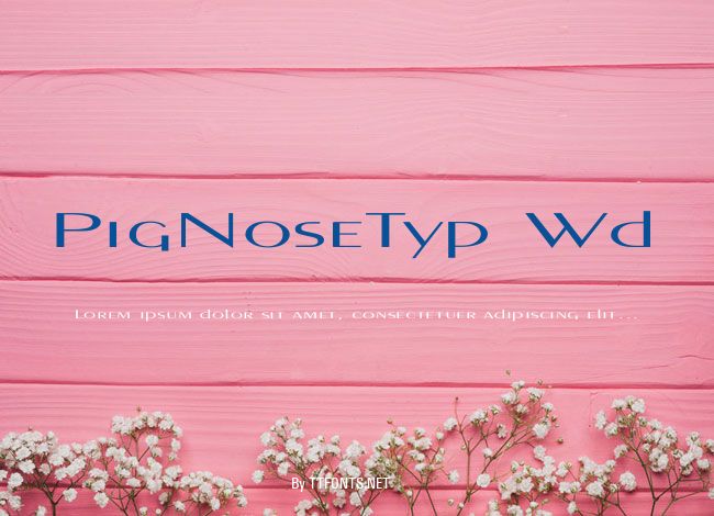 PigNoseTyp Wd example