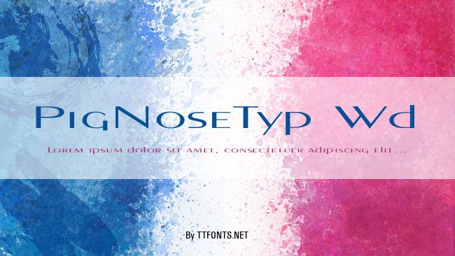 PigNoseTyp Wd example