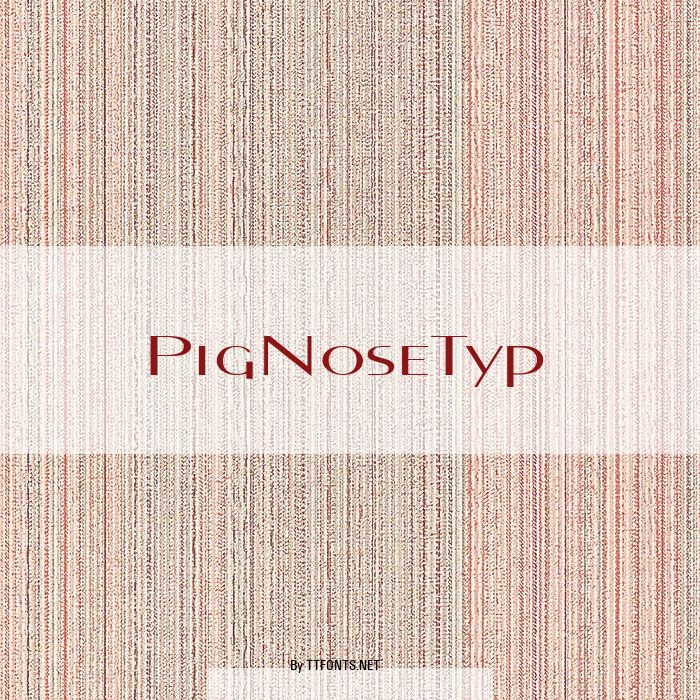 PigNoseTyp example