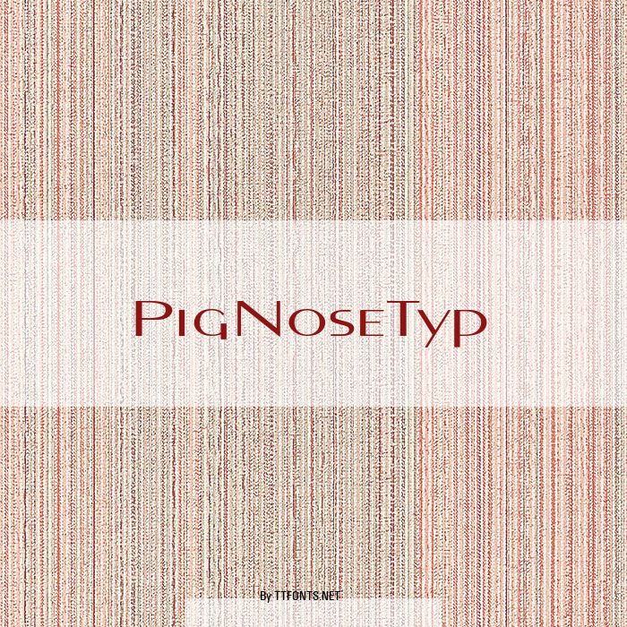 PigNoseTyp example