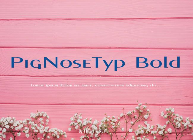 PigNoseTyp Bold example