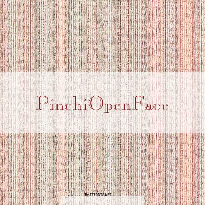 PinchiOpenFace example